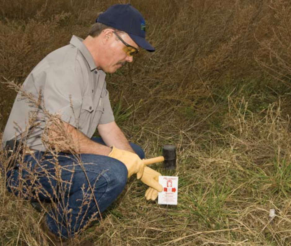 A Wildlife Services "biologist" places an M-44 device.